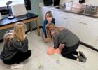 GMR 9th Grade Health Class earns CPR/First Aid Certification