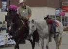 North Country Horsmen Saddle Club 14th Annual Cancer Tribute Ceremony
