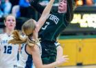 Gator Girls Fall to Freeze by Four