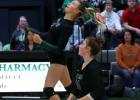Gator Volleyball continues to burn up the Court!