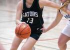 Gator Girls Fall to Freeze by Four