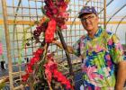 Lew Wallace elected President of MN Gladiolus Society
